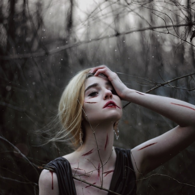 13005060-R3L8T8D-650-4