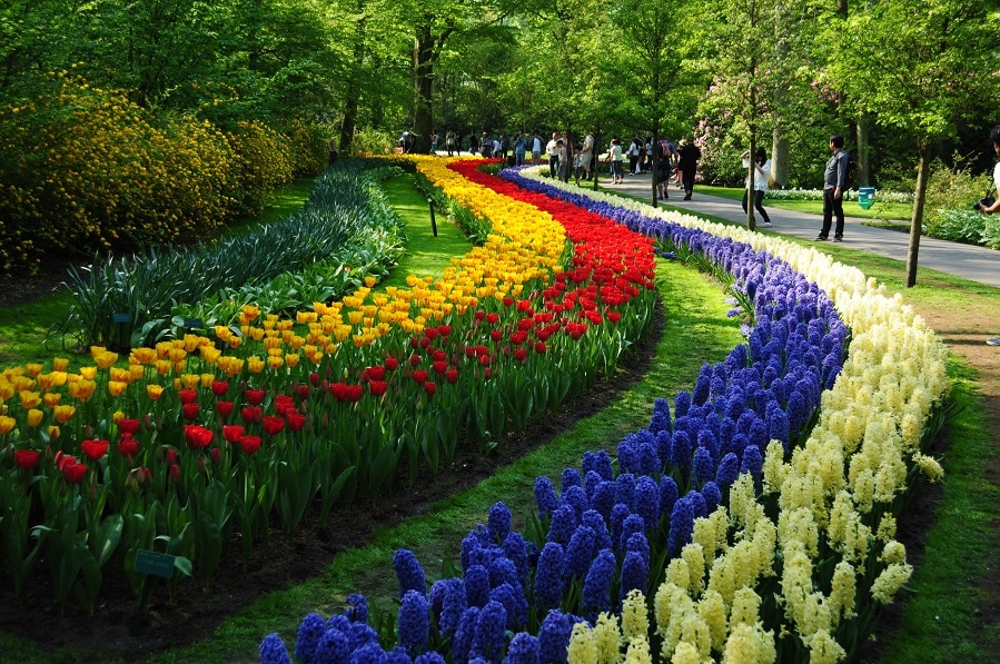 Keukenhof.original.6061