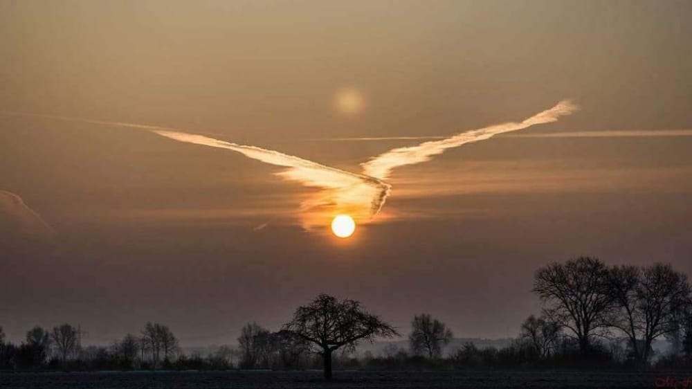 20 απίστευτες φωτογραφίες που δείχνουν την απέραντη ομορφιά της φύσης 53 5760810-1000-1452780181-BIG_0013450849