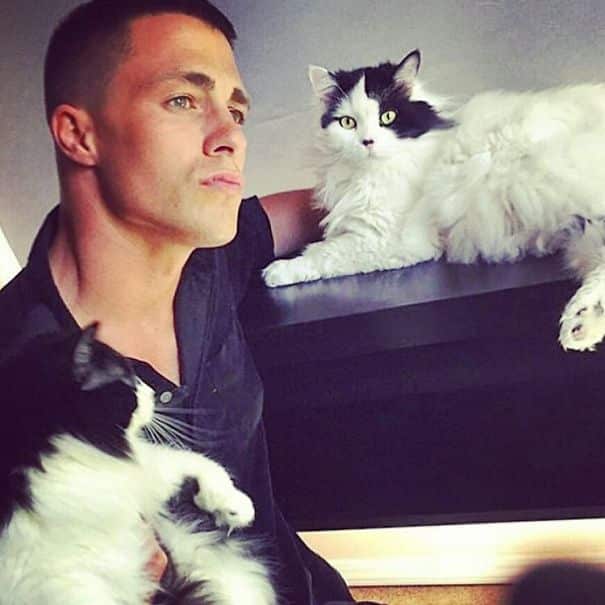 hot-dudes-with-kittens-instagram-63__605
