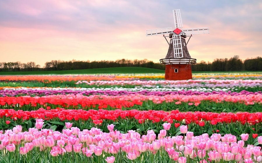 keukenhof-gardens