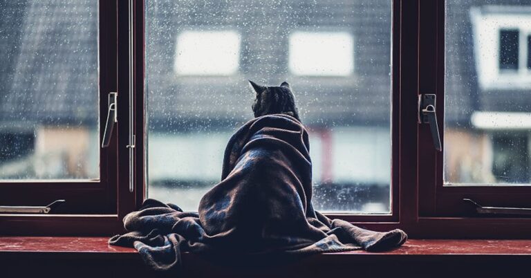 15 υπερβολικά αξιολάτρευτες φωτογραφίες που θα σας ανεβάσουν την διάθεση αμέσως!