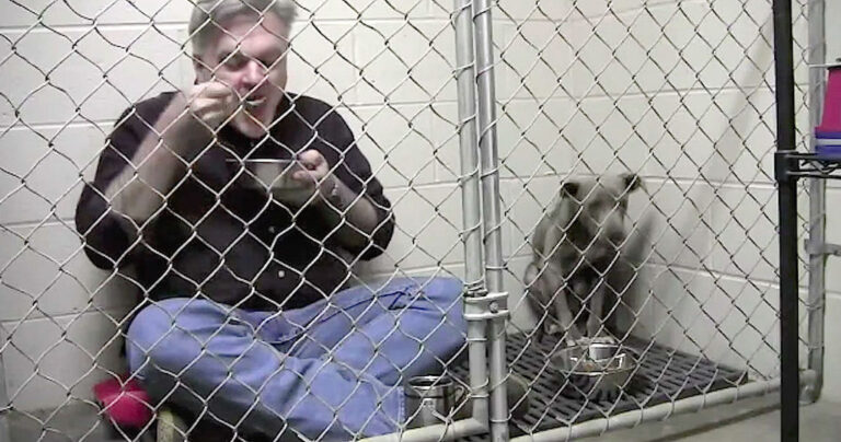 Aπίθανος κτηνίατρος τρώει πρωινό με ένα εγκαταλελειμμένο Pit bull