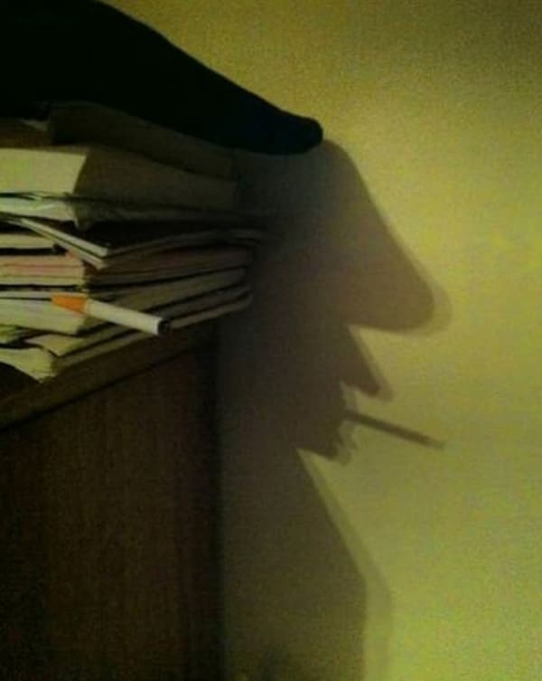 6025210-R3L8T8D-600-funny-shadow-fails-illusions-10