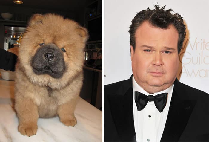 celebrity-look-alikes-animals-610__700