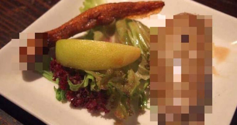 Αυτό το εστιατόριο στην Ιαπωνία σερβίρει κάποια πραγματικά αηδιαστικά πιάτα