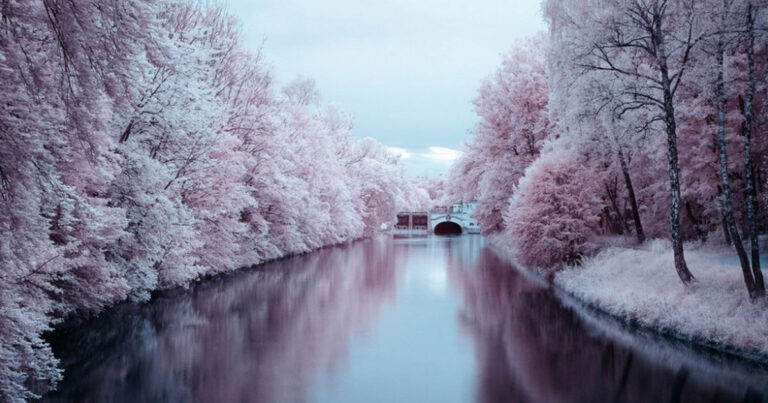 15 υπέροχες φωτογραφίες που αποθεώνουν την αρμονία της φύσης.