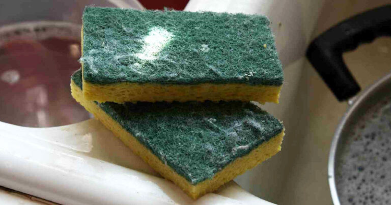 Πώς να αποστειρώσετε το σφουγγάρι της κουζίνας;