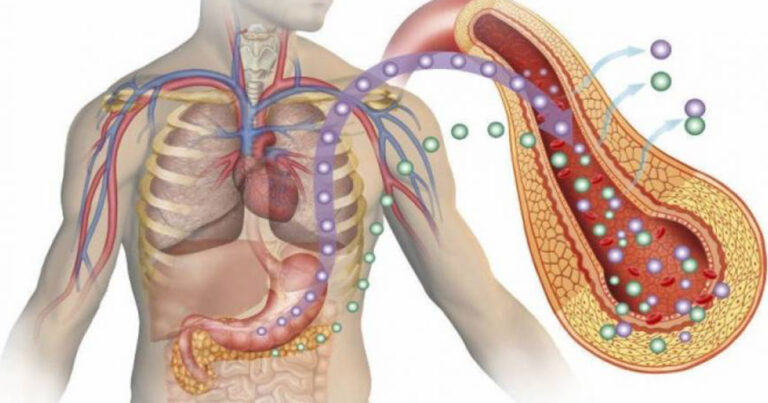 Διαβήτης: Τεράστιο άλμα στην ρύθμιση της ινσουλίνης με «τεχνητά στομάχια»