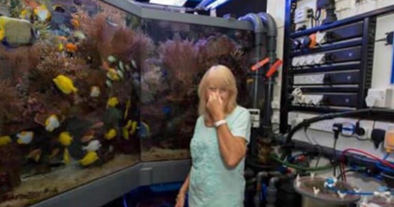 Οι πιο απίθανες μετατροπές σπιτιών!