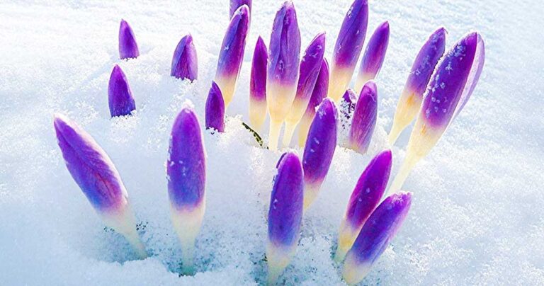 20 μέρη του κόσμου, που γίνονται ακόμα πιο όμορφα με τον ερχομό της Άνοιξη