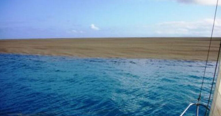 Ταξίδευαν στον ωκεανό όταν είδαν κάτι πολύ περίεργο. Είναι τυχεροί που ζουν για να το διηγηθούν.