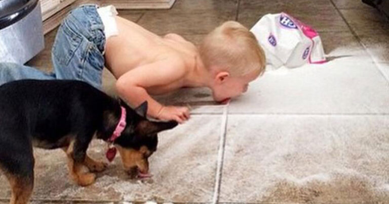 15 στιγμές για γέλια και κλάματα που όλοι οι γονείς έχουν ζήσει