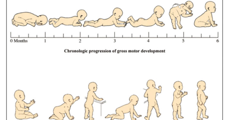 Αναπτυξιακά στάδια και δραστηριότητες (από νεογέννητο μέχρι 8 ετών)