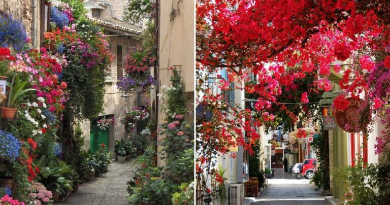 16 πανέμορφοι δρόμοι που θα μετατραπούν σε ένα παραμύθι με τον ερχομό της άνοιξης.