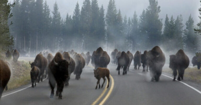 Έτσι είναι οι ώρες αιχμής σε διάφορα μέρη του κόσμου. Η Ιρλανδία θα σας εκπλήξει.