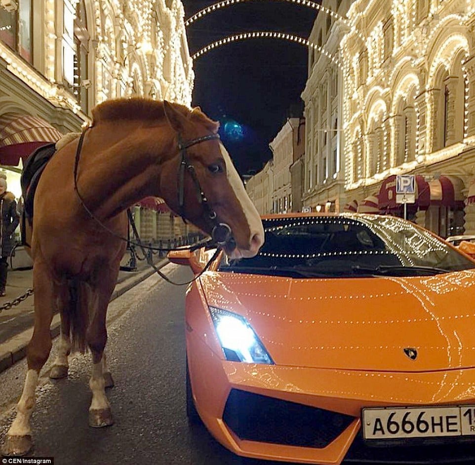 3173989C00000578-0-This_bizarre_photograph_shows_a_horse_next_to_a_Lamborghini_at_a-a-141_1456161829666