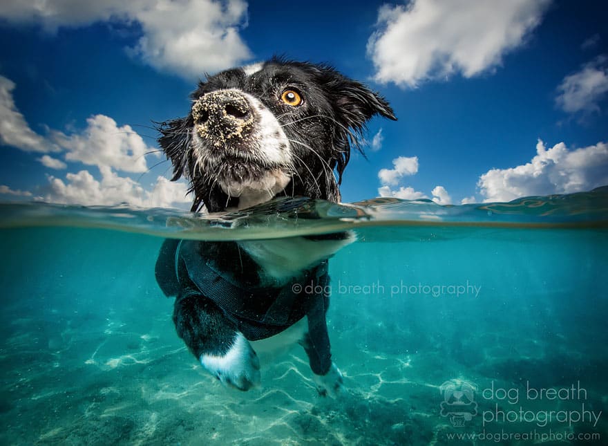 split-shot-half-submerged-over-under-water-photography-361__880