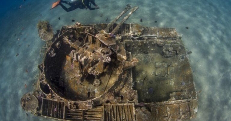 29 από τις καλύτερες υποβρύχιες φωτογραφίες που δείχνουν τη ζωή από μια άλλη οπτική