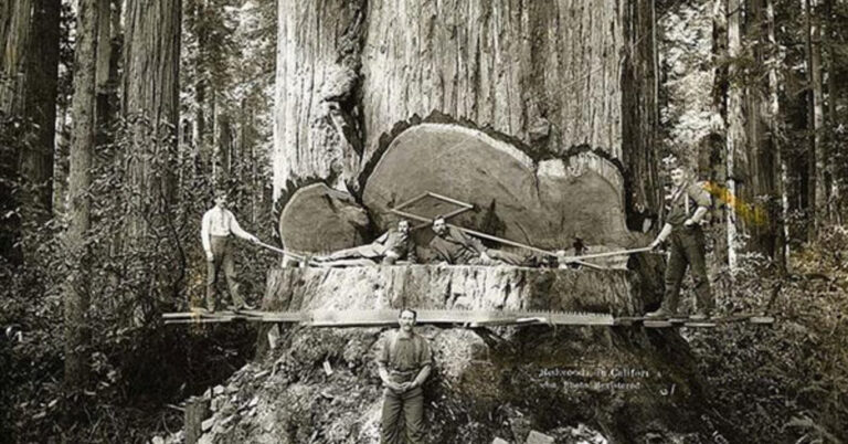 31 σπάνιες ιστορικές φωτογραφίες από κάθε γωνιά του κόσμου. Ειδικά αυτή στον Λευκό Πύργο πραγματικά άλλες εποχές…