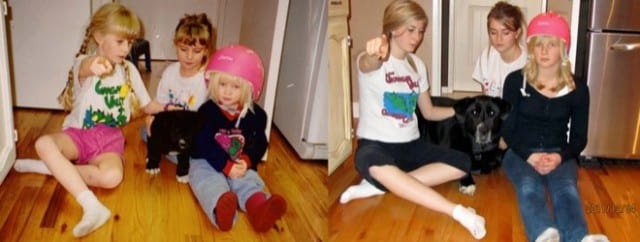animals-before-after-19