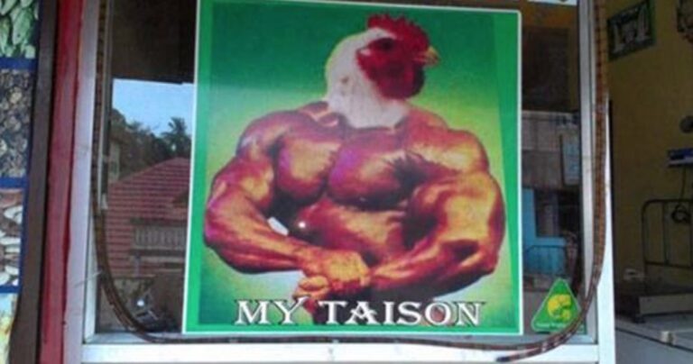 15 απίστευτες εικόνες που βλέπει κανείς μόνο στη Ινδία!