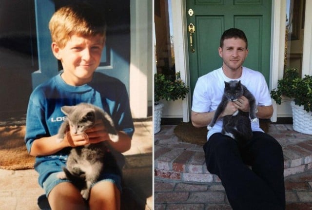 pets-before-after-2