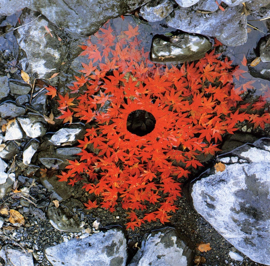 land-art-andy-goldsworthy-610