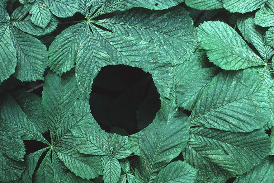 land-art-andy-goldsworthy-121