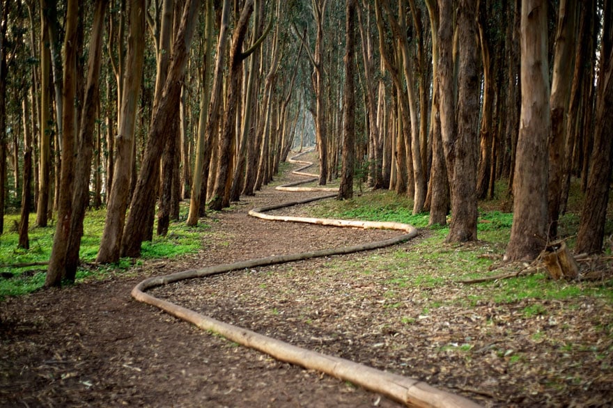 land-art-andy-goldsworthy-261