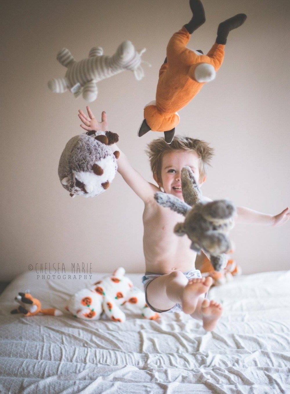 648005-1000-1458216932-Chelsea-Marie-Photography-giggles-and-goldfish-everyday-favorites-march-22-1