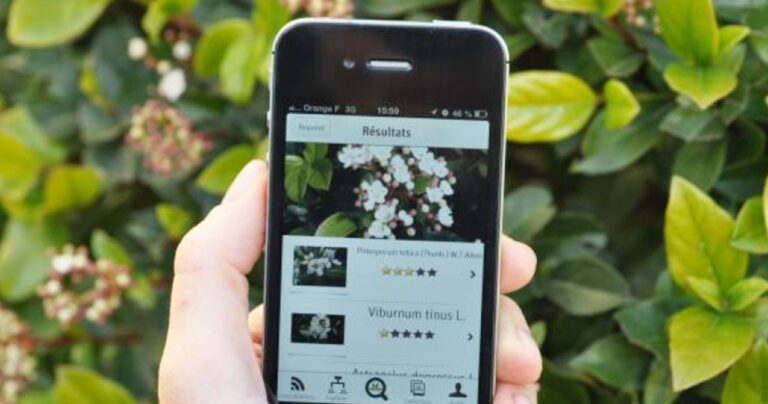 PlantNet: Η εφαρμογή που εντοπίζει το όνομα του κάθε φυτού!