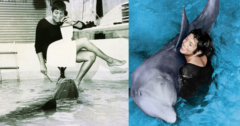 Η ιστορία της γυναίκας που αμάρτησε με ένα δελφίνι και αυτό αυτοκτόνησε