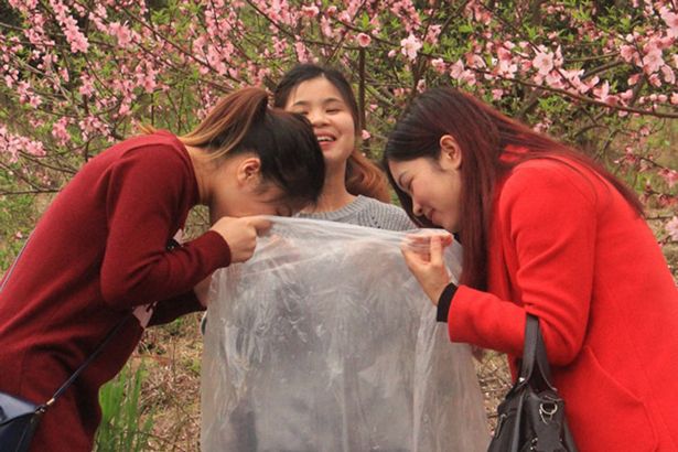 Visitors-collect-clean-air-in-north-area-of-Guangdong-ProvinceSOCIAL-IMAGE