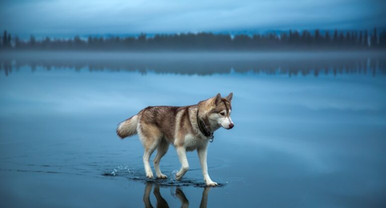 20 από τις καλύτερες φωτογραφίες από το αρχείο του National Geographic