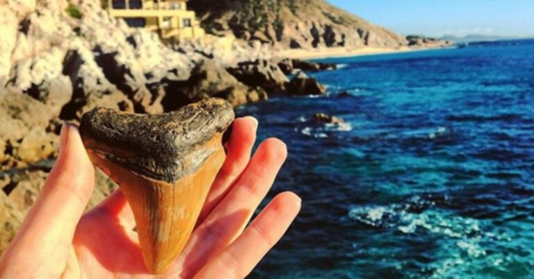 30 πολύ παράξενα πράγματα που βρέθηκαν κατά καιρούς σε παραλία.