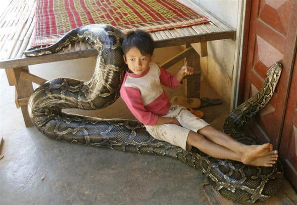 boy-with-anaconda1