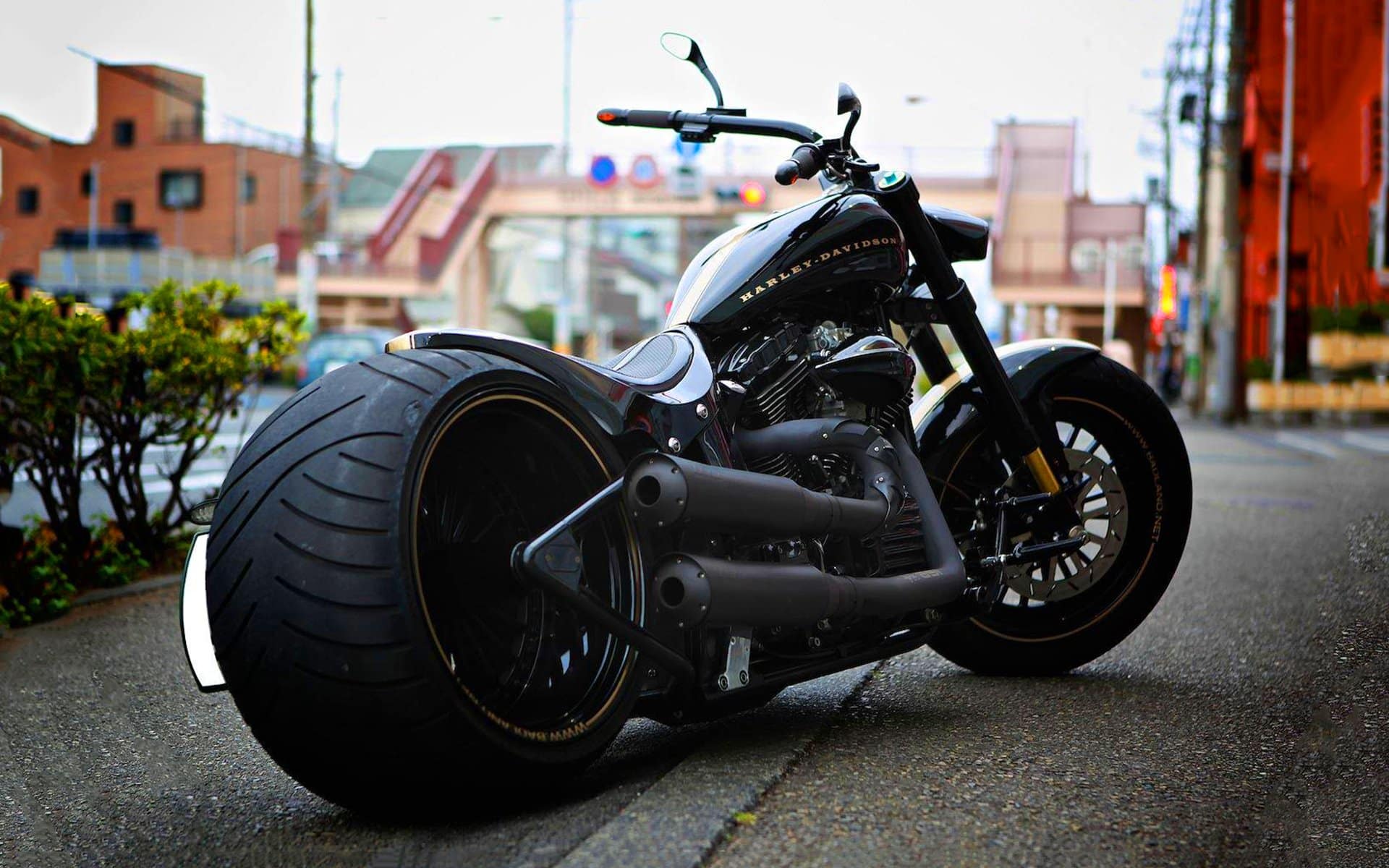 6945474-custom-harley-davidson