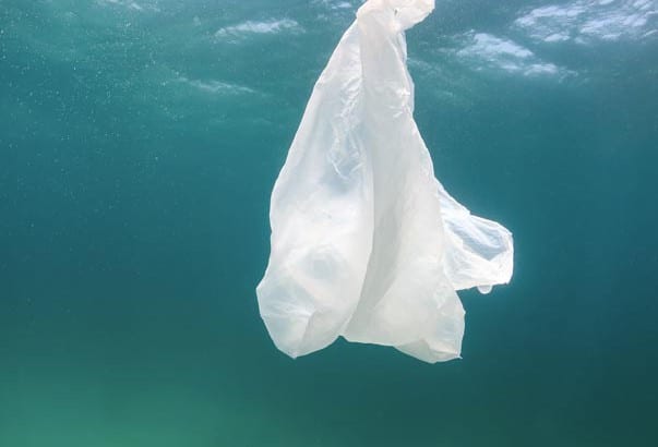 Plastic-bag-sea-bed-web-603x410