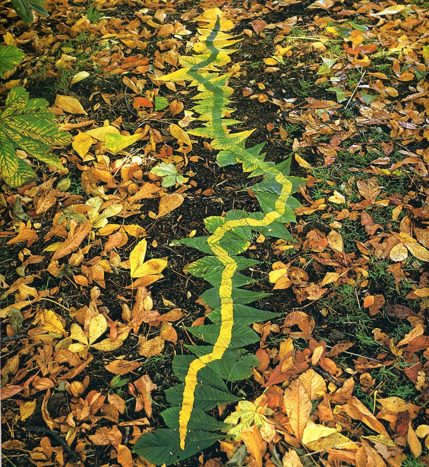 land-art-andy-goldsworthy-510