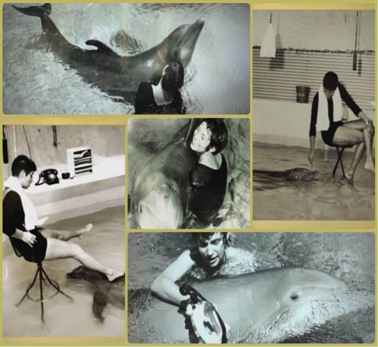 delfin-experiment-Margaret-Howe-Lovattova