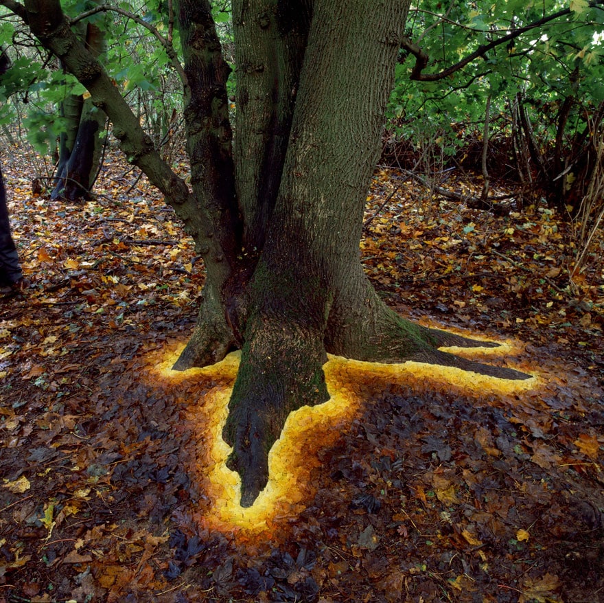 land-art-andy-goldsworthy-110