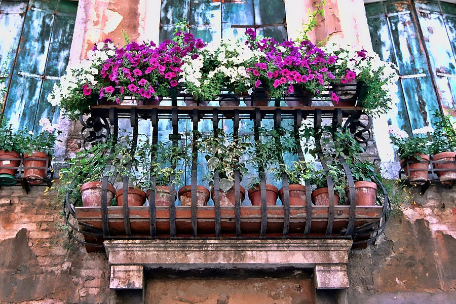 flowers-on-a-balcony