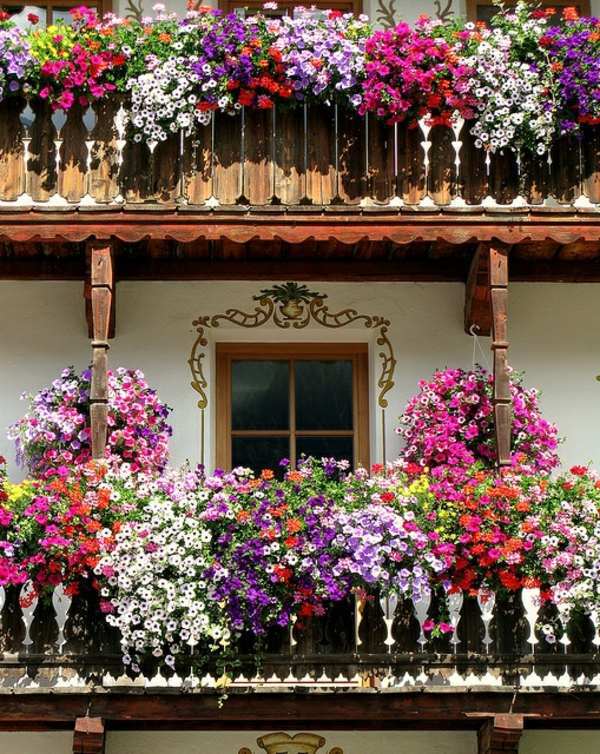 55-balcony-greenery-ideas-choose-flowers-for-balcony-and-arrange-5-197