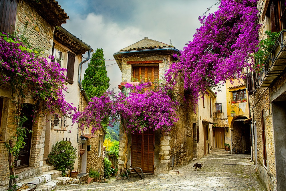 Provence-1-of-22