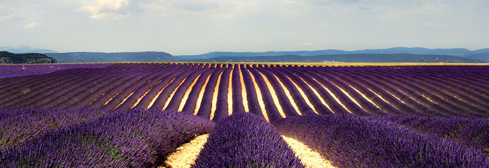 villas-in-provence