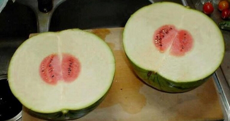 19 από τα πιο απογοητευτικά πράγματα που έχουν υπάρξει ποτέ