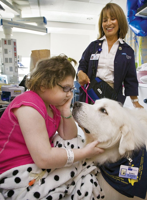 hospital-pets-allowed-animal-therapy-zacharys-paws-for-healing-juravinski-20