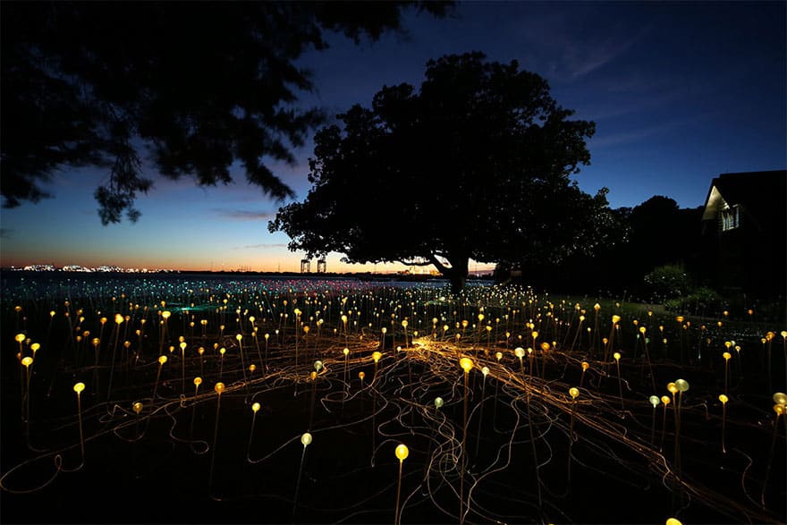 surreal-light-installations-field-of-light-bruce-munro-uluru-australia-13