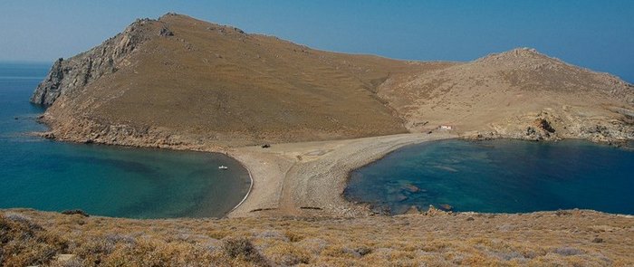 Λήμνος: Βουτιές παρέα με τα ροζ φλαμίνγκο.